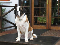 Mount Tamborine QLD Timeshare Accommodation