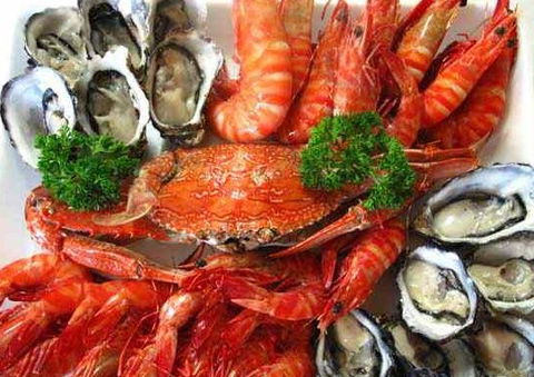 The Lazy Lobster - Timeshare Accommodation 1
