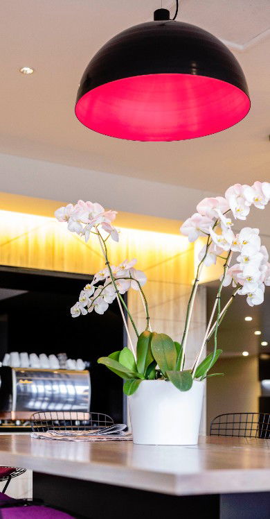 MRepublic Restaurant, Bar And Lounge - Timeshare Accommodation 4