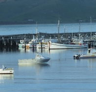 The Apollo Bay Hotel - Timeshare Accommodation