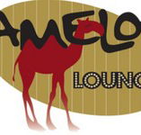 Camelot Lounge - Timeshare Accommodation
