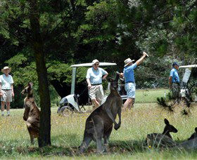 Glen Innes NSW Timeshare Accommodation