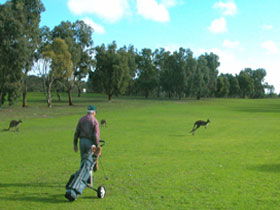 Coffin Bay Golf Club - Timeshare Accommodation 0