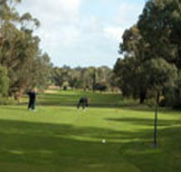Mount Gambier Golf Club - Timeshare Accommodation