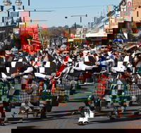 Australian Celtic Festival - Timeshare Accommodation
