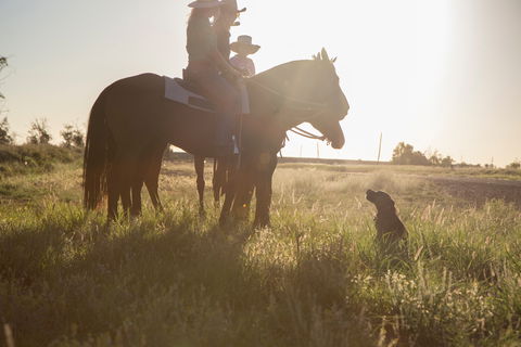 Balonne Cutting Horse Futurity - Timeshare Accommodation 0