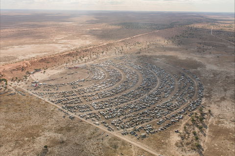 Birdsville Big Red Bash - Timeshare Accommodation 1