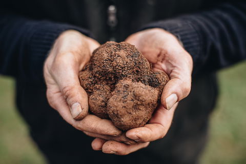 Feast And Forage - Craig's Royal Hotel - Timeshare Accommodation 0