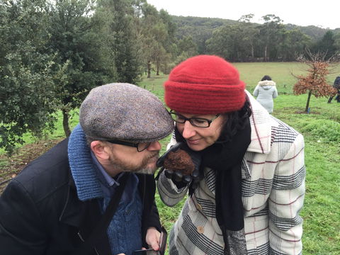 Feast And Forage - Craig's Royal Hotel - Timeshare Accommodation 1