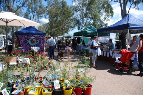Fernvale Country Markets - Timeshare Accommodation 0
