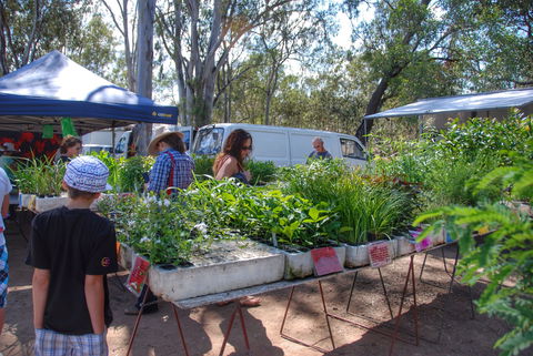 Fernvale Country Markets - Timeshare Accommodation 1