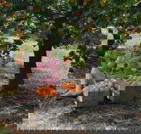 Fruit Bottling Sessions at Rayner's Orchard - Timeshare Accommodation