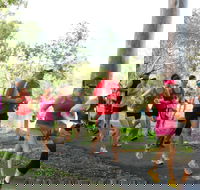 Gladstone Weekly Parkrun - Timeshare Accommodation