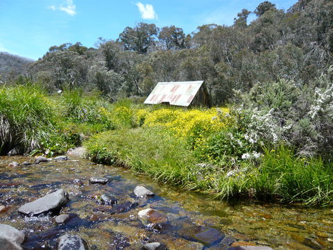 Hedonistic Hiking's Falls Creek To Hotham - Timeshare Accommodation 0
