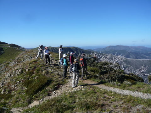 Hedonistic Hiking's Falls Creek To Hotham - Timeshare Accommodation 1