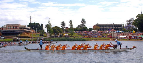 Jacaranda Dragon Boat Races - Timeshare Accommodation 0