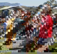 Lovedale Long Lunch - Timeshare Accommodation