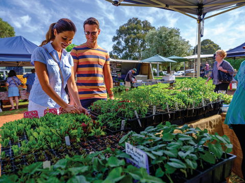 Margaret River Farmers Market - Timeshare Accommodation 1