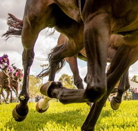 Night Markets and Race Day - Timeshare Accommodation