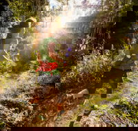 Run Dungog - Timeshare Accommodation