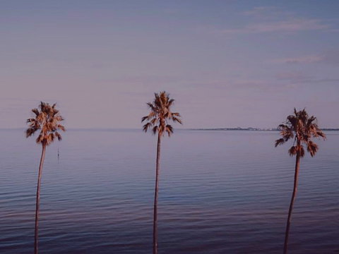 Sunset Streaming Live DJ Streams - Timeshare Accommodation 0