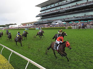The TAB Everest: The World’s Richest Race On Turf
