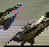 Wirragulla Annual Polo Tournament - Timeshare Accommodation