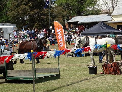 Carcoar Show - Timeshare Accommodation 0
