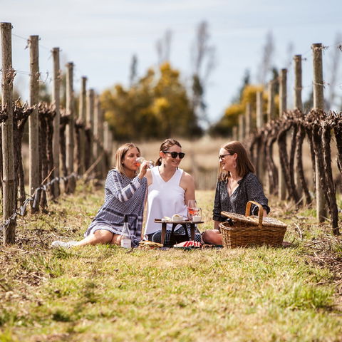 Family Picnic Weekend - Timeshare Accommodation 0