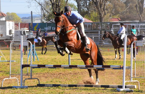 Glen Innes Pastoral And Agricultural Show - Timeshare Accommodation 0