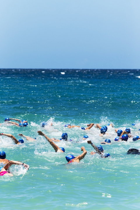 Hamilton Island Endurance Series - Whitehaven Beach Ocean Swim - Timeshare Accommodation 0