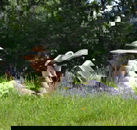 High Country Writers Festival - Timeshare Accommodation