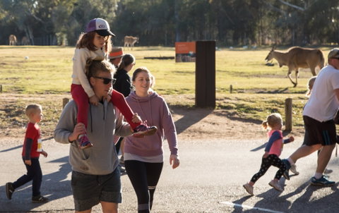 MAAS Group Dubbo Stampede Running Festival - Timeshare Accommodation 1