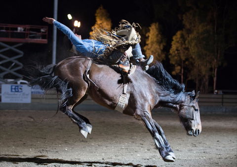 North Queensland Elite Rodeo - Timeshare Accommodation 1