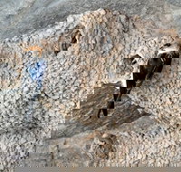 2020 Katherine Bird Festival - Timeshare Accommodation