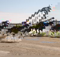 Bedourie Races and Rodeo - Timeshare Accommodation