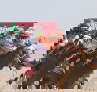 Birdsville Races - Timeshare Accommodation