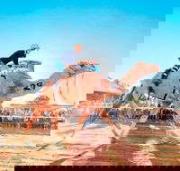 Boulia Camel Races - Timeshare Accommodation