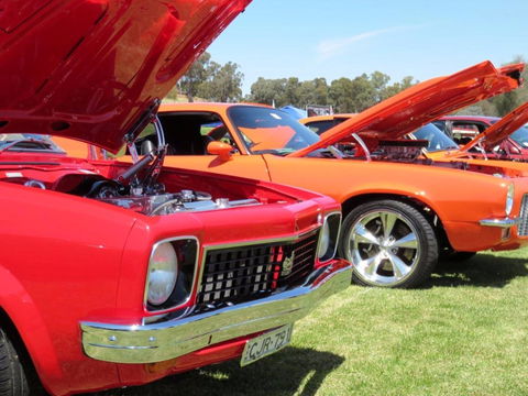 Central West Car Club Charity Show And Shine - Timeshare Accommodation 1