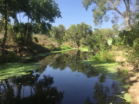 Conservation Volunteers Australia Townsville - Creekwatch - Timeshare Accommodation 0