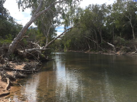 Conservation Volunteers Australia Townsville - Creekwatch - Timeshare Accommodation 2