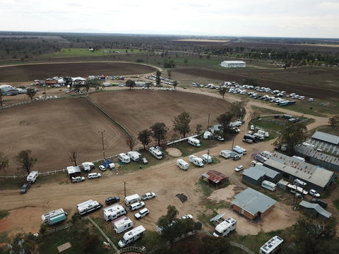 Cotton Capital Country Music Muster - Timeshare Accommodation 2