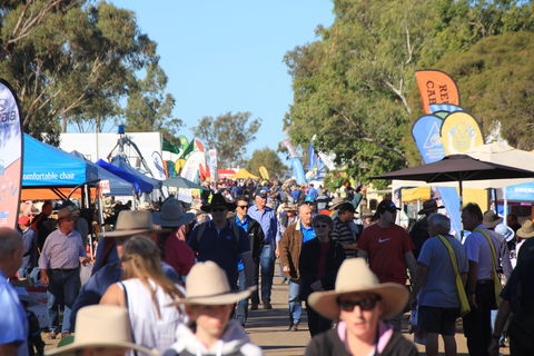 CRT FarmFest - Timeshare Accommodation 1