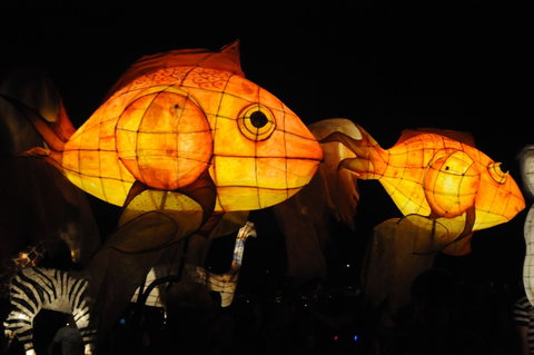 DREAM Festival: Music And Markets Event - Timeshare Accommodation 2
