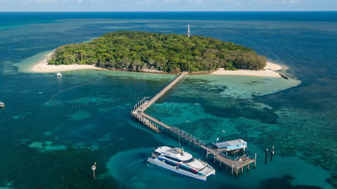 Great Adventures Green Island Ocean Swim - Timeshare Accommodation 0