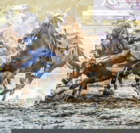 Gundagai Rodeo - Timeshare Accommodation