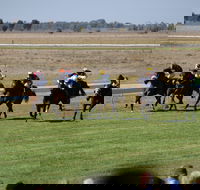 Jerilderie Gold Cup Races - Timeshare Accommodation