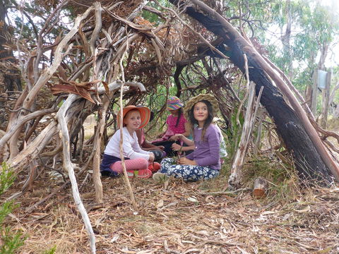 July 2020 Holidays- Forest Adventures Treasure Hunt - Timeshare Accommodation 2