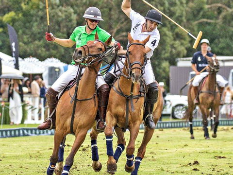 Land Rover Polo In The City - Timeshare Accommodation 0