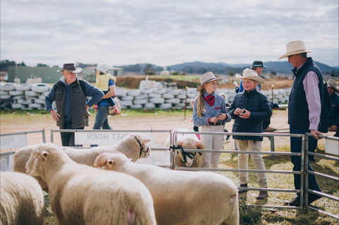 Mudgee Small Farm Field Days - Timeshare Accommodation 0